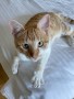Harvey (2)